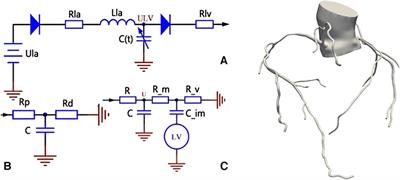 Study on the related factors of TCM constitution and hemodynamics in patients with coronary heart disease